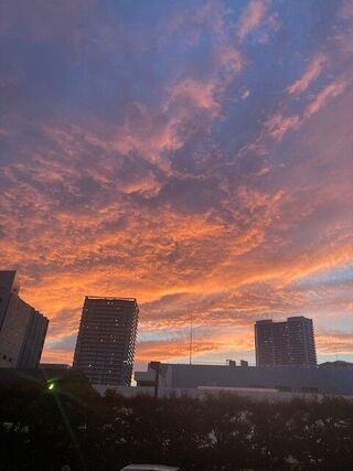 芝浦初夏の夕焼け