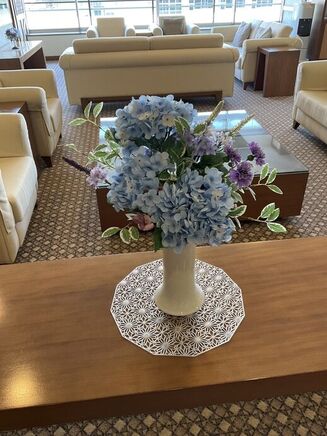 季節を彩る紫陽花